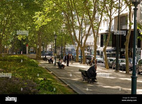 avenida da liberdade street